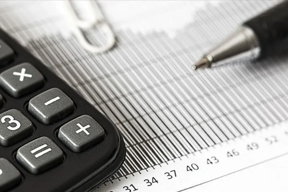 10 ayda 50 bin mükellef incelendi