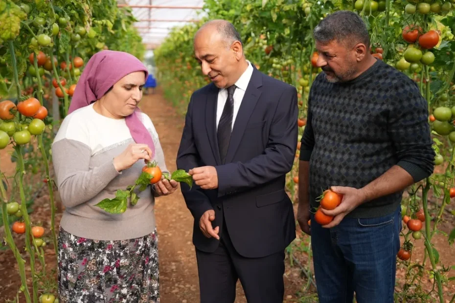 ŞOK Marketler’de yeni dönem: Meyve-sebzede pestisit kontrol süreci bir adım ileri taşındı