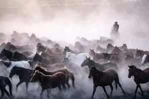 تحصیل در ترکیه ۲۰۲۵: صفر تا صد مدیریت هزینه‌های زندگی دانشجویی (خوابگاه، خوراک، تفریحات)