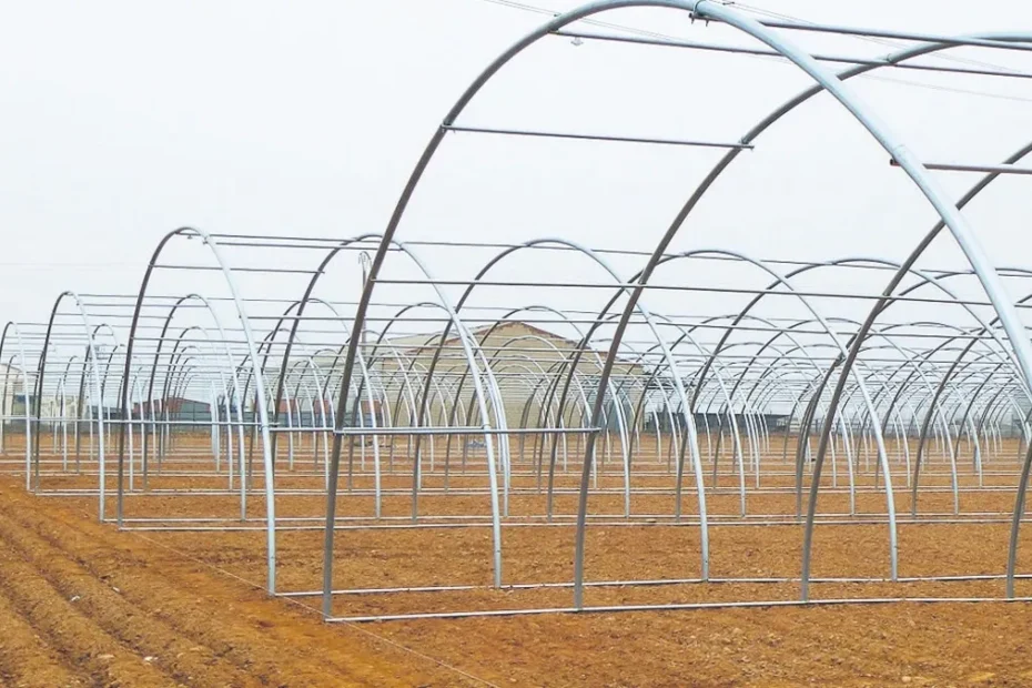 Yılda 9 milyon tonluk üretim yapılıyor