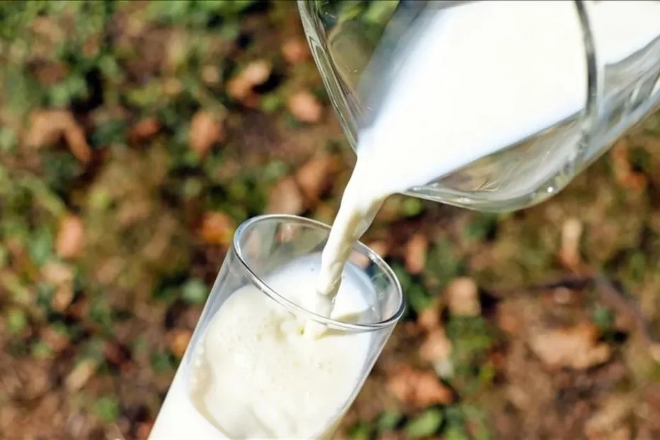 TÜİK açıkladı: Ayran, kefir ve yoğurt üretimi arttı