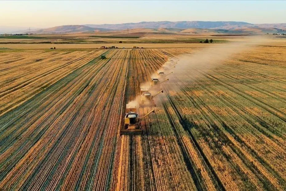 Tarım ÜFE ocakta arttı