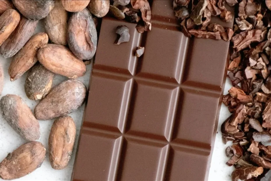Türkiye kakaodan 1,7 milyar dolar kazandı