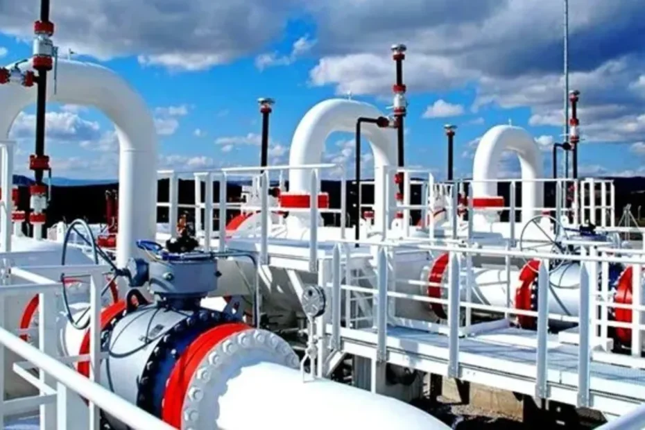 BOTAŞ'ın 26,5 milyar liralık doğal gaz yatırımları onaylandı