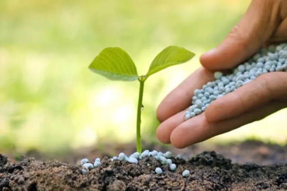 Gübre ham maddesi üre için ithalatta gümrük vergisi sıfırlandı