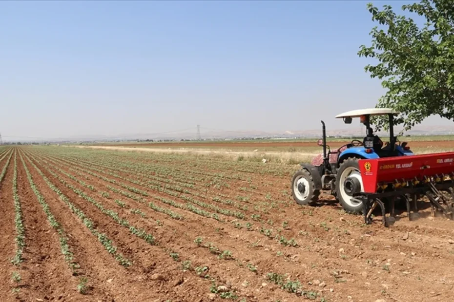 Tarım arazilerinin etkin kullanımı için yeni hibe desteği kararı