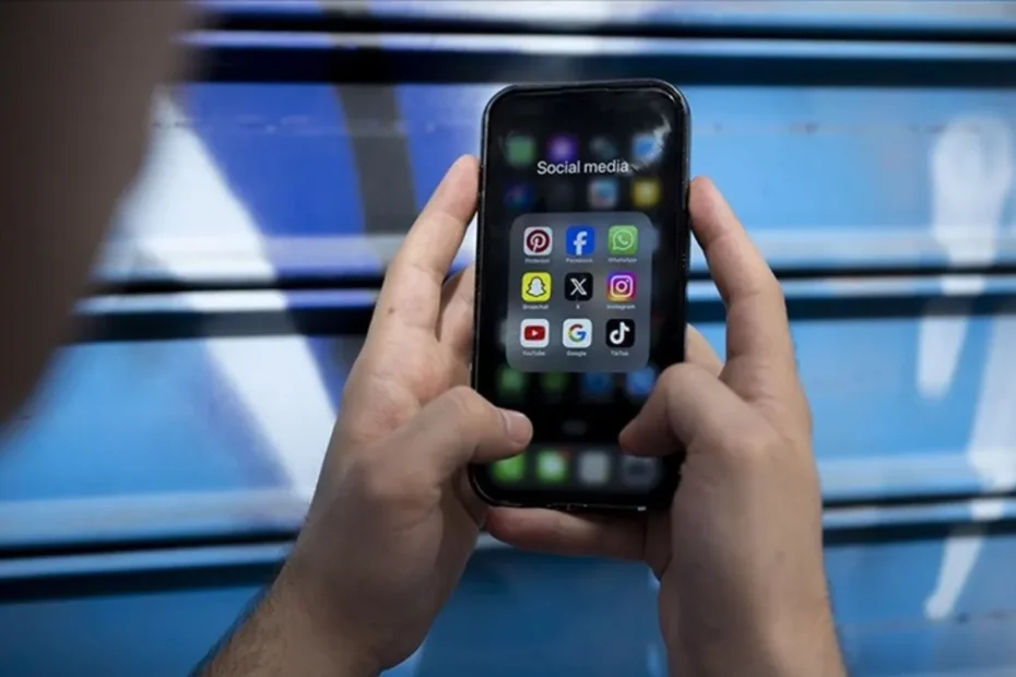 Sosyal medya mezatçıları Maliye'nin radarında: Kayıt dışı yolla 500 milyon liralık ürün satışı