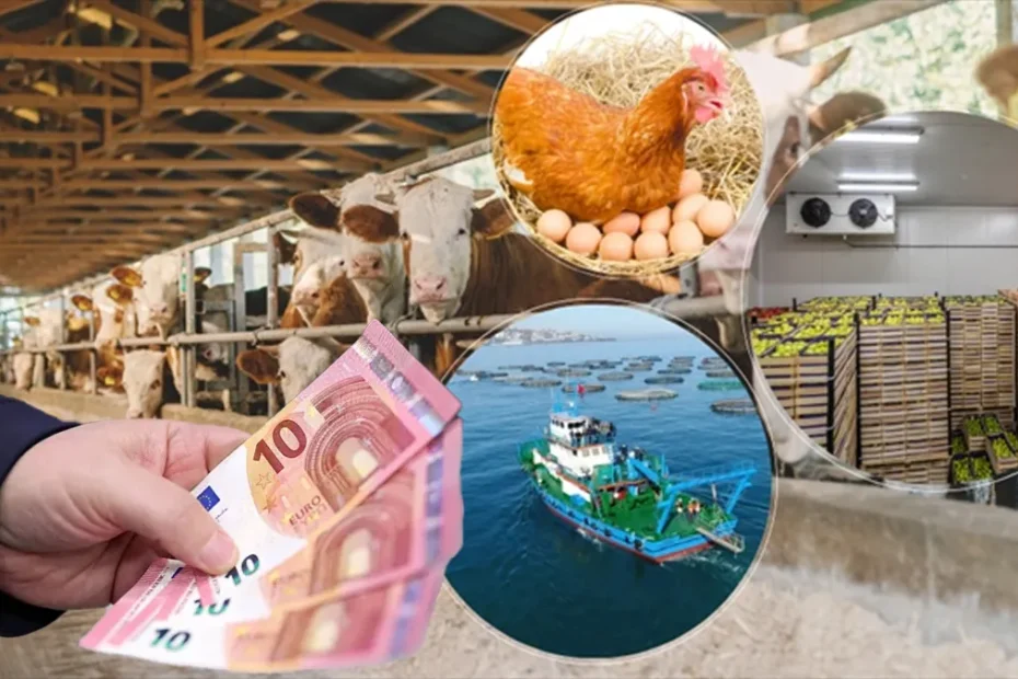 Milyonlara geri ödemesiz 241 milyon euro verilecek! Takvim belli oldu, kimler yararlanacak?