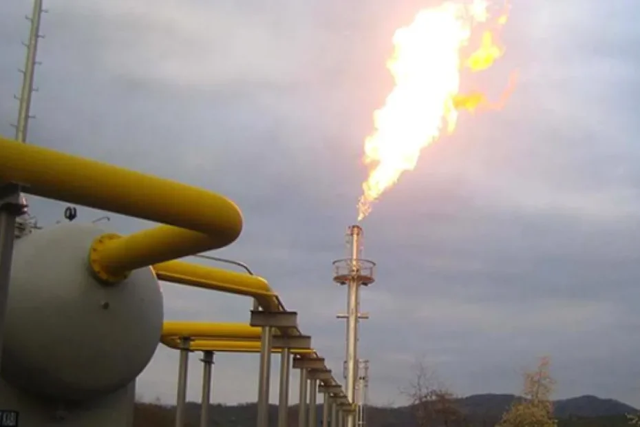 Çin Başkanı Şi'den Türkmenistan'a doğal gaz işbirliği çağrısı