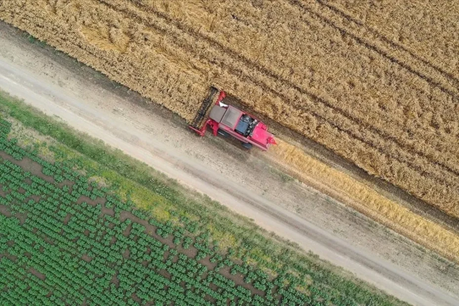 Hürmüz kapandıkça gıda krizi yaklaşıyor! Fitch, gübre fiyatı beklentisini yükseltti