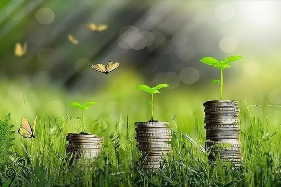 Yeşil dönüşüm için 3 milyar TL’lik destek