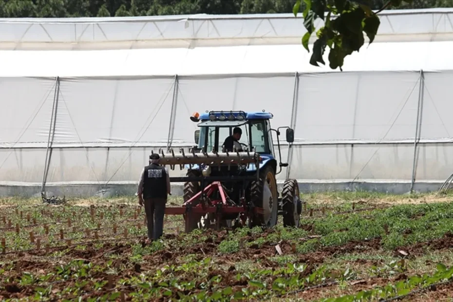 Orta Doğu gerilimi tarımda fiyatları yükseltiyor: Çiftçiler alternatiflere yöneliyor, AB destek paketleri hazırlıyor