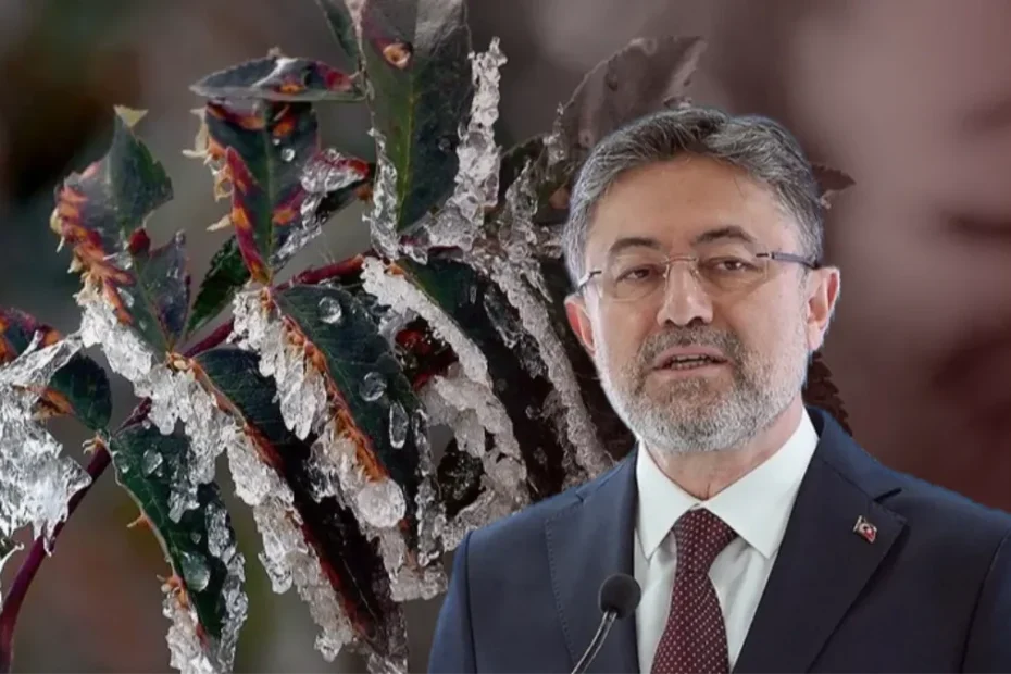 Tarlada zirai don riski var mı? Bakan Yumaklı'dan market raflarını ilgilendiren açıklama