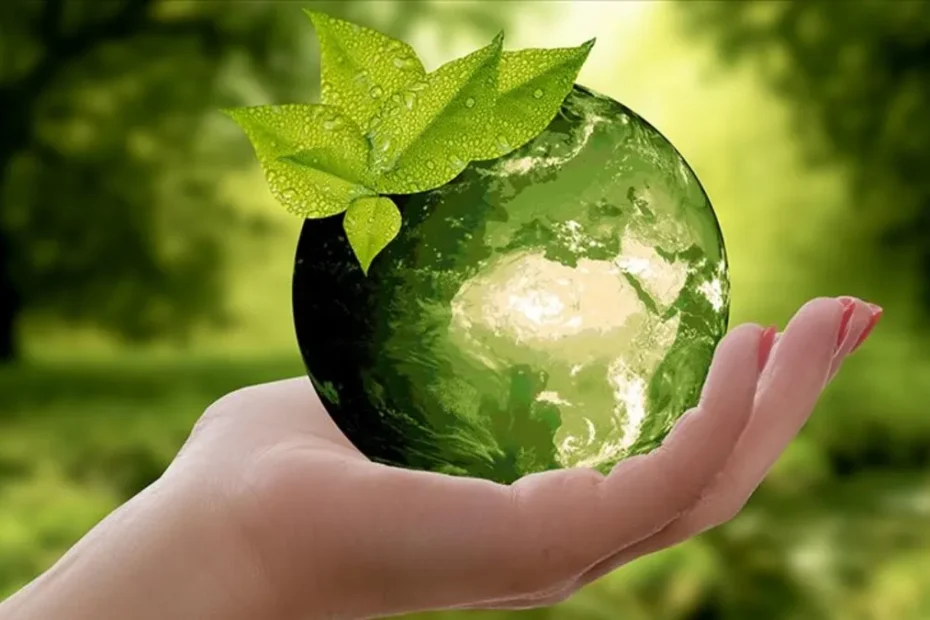 Sıfır Atık Projesi'ne Green World Awards'tan "Yeşil Dünya Şampiyonluğu" ödülü