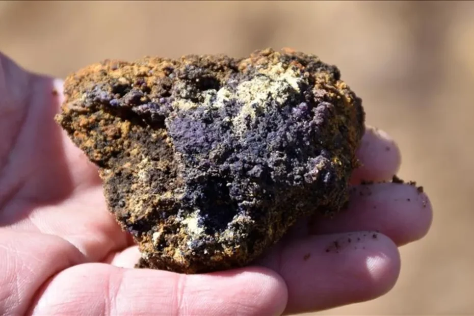 OECD'den Türkiye'ye kritik mineral vurgusu