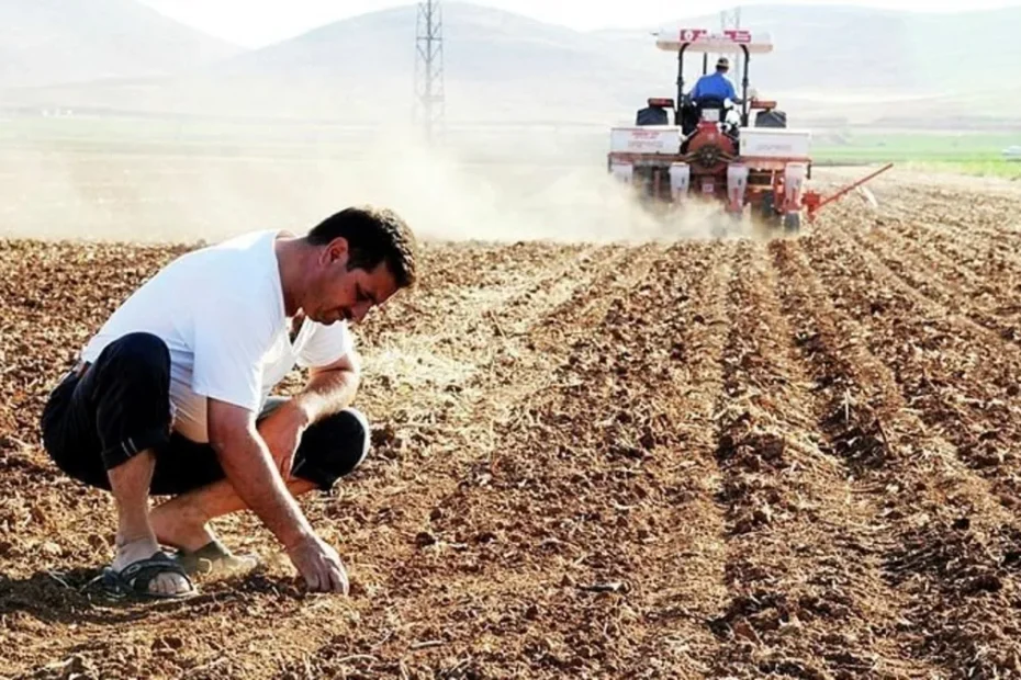 Alın teriyle üretim yapanlara 374,7 milyon TL yatırıldı