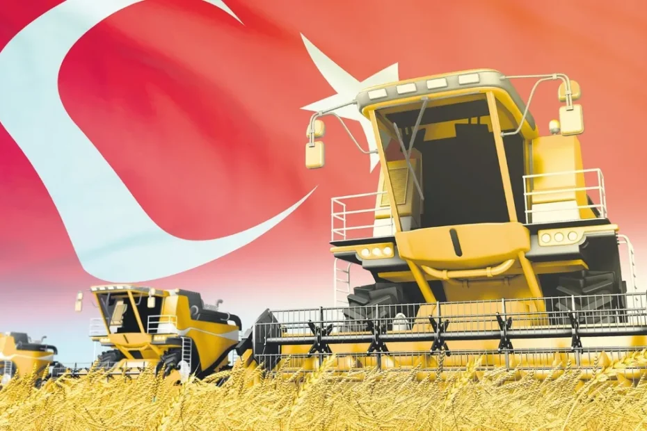 Türkiye buğdayda tarih yazmaya hazırlanıyor