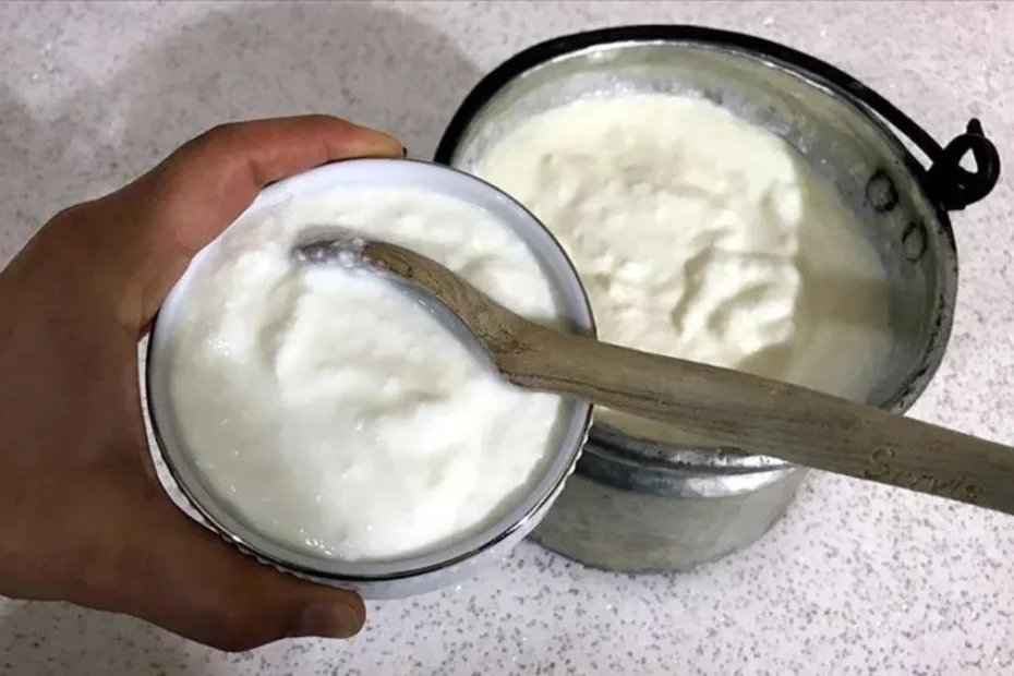 Ayran, yoğurt ve kefir zirve yaptı! Türkiye'nin üretimi 4 ayda rekor seviyeye çıktı
