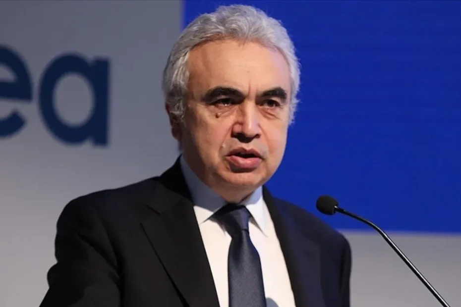 UEA'dan Hürmüz Boğazı ve küresel enerji uyarısı: Dünya enerji haritası yeniden çizilecek