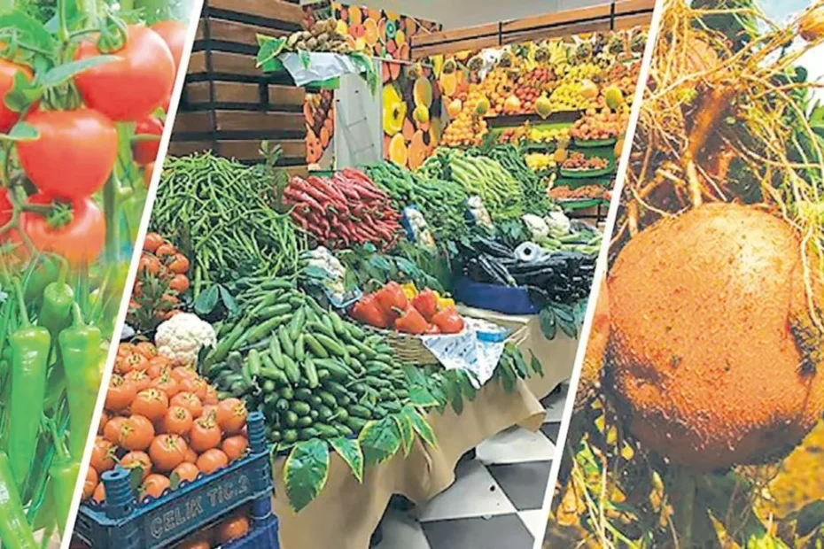 نمودار شکاف قیمت محصولات کشاورزی ترکیه از مزرعه تا بازار با اسکناس لیر.
